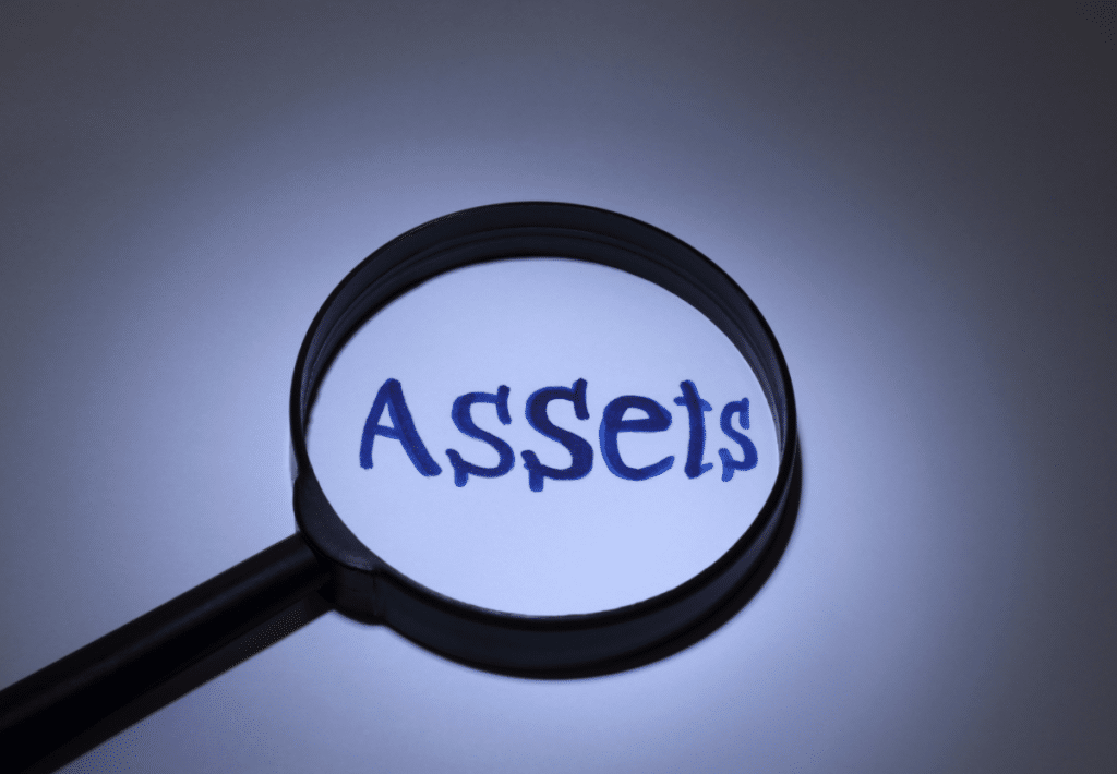 magnifying glass showing the word assets